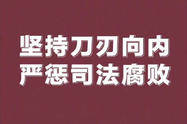 开发公司35%股权被江苏泰兴法院官员侵占谁之过？