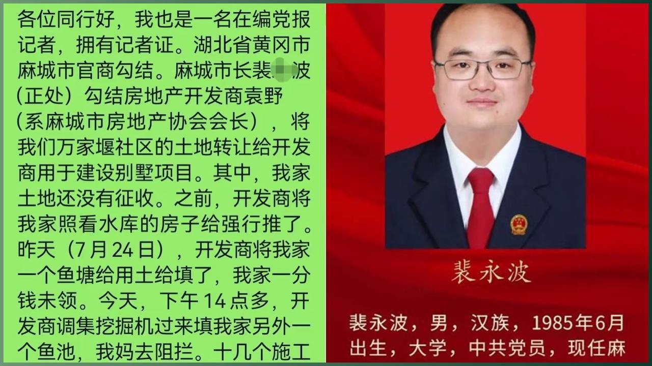 党报在编记者面对强拆不敢发声反而求助同行，麻城市长裴永波官商勾结被揭露